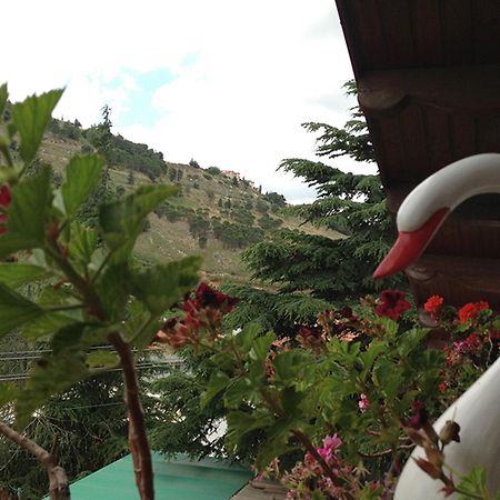 Mina Teva Villa Metula Buitenkant foto