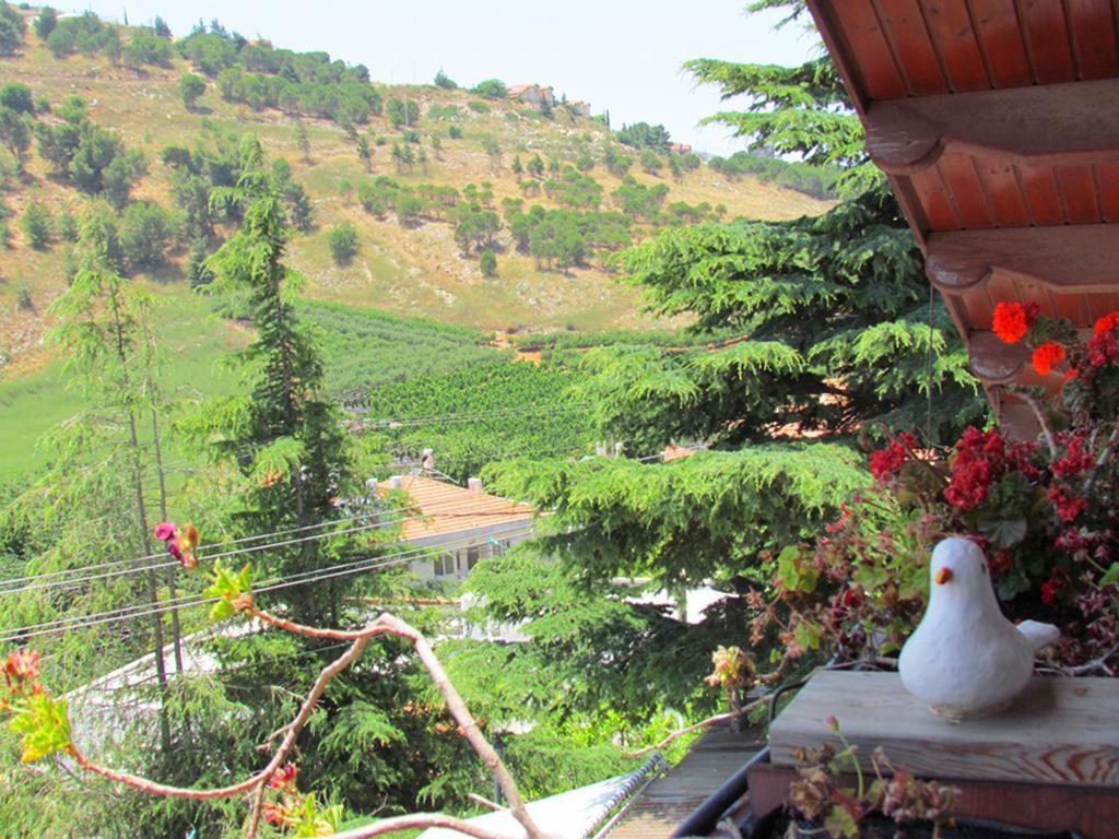 Mina Teva Villa Metula Buitenkant foto